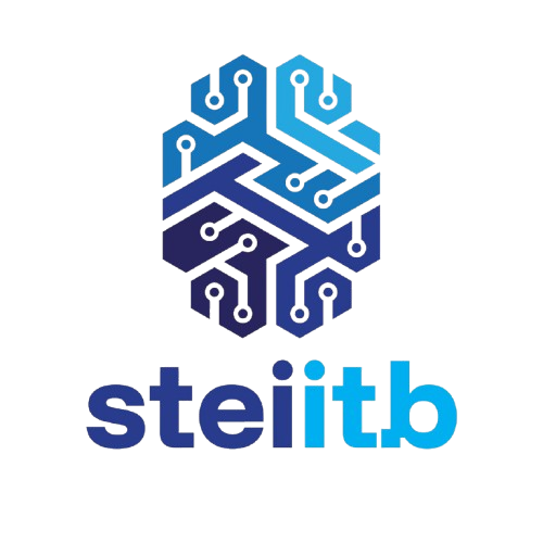STEI Logo